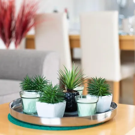 Prime Homes Taoro Attic * بويرتو ذي لا كروز